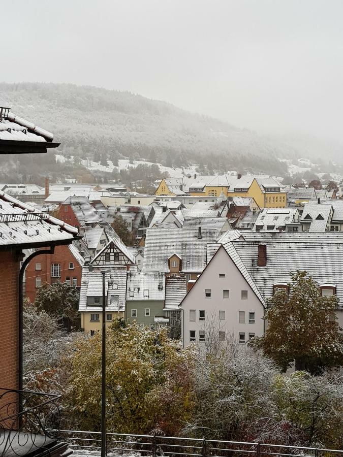 Ferienwohnungen Albstadt Zewnętrze zdjęcie